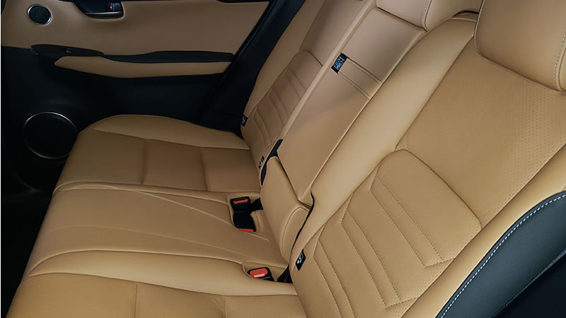 diseños de pintura para buses blue bird